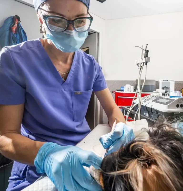 AAD - surgical extractions might be needed