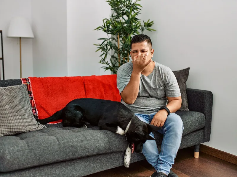 Advance Animal-Shouldn’t Ignore Strong Doggy Strong Doggy breath