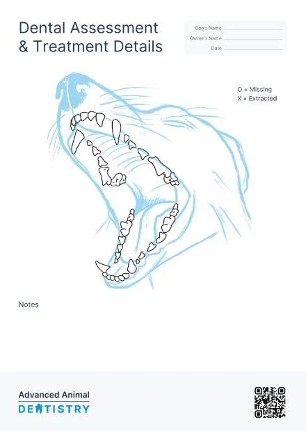 Dental Assessment & Treatment Details