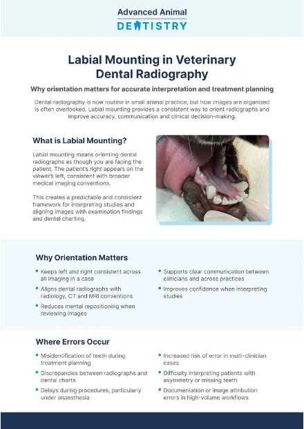 Labial Mounting in Veterinary Dental Radiography