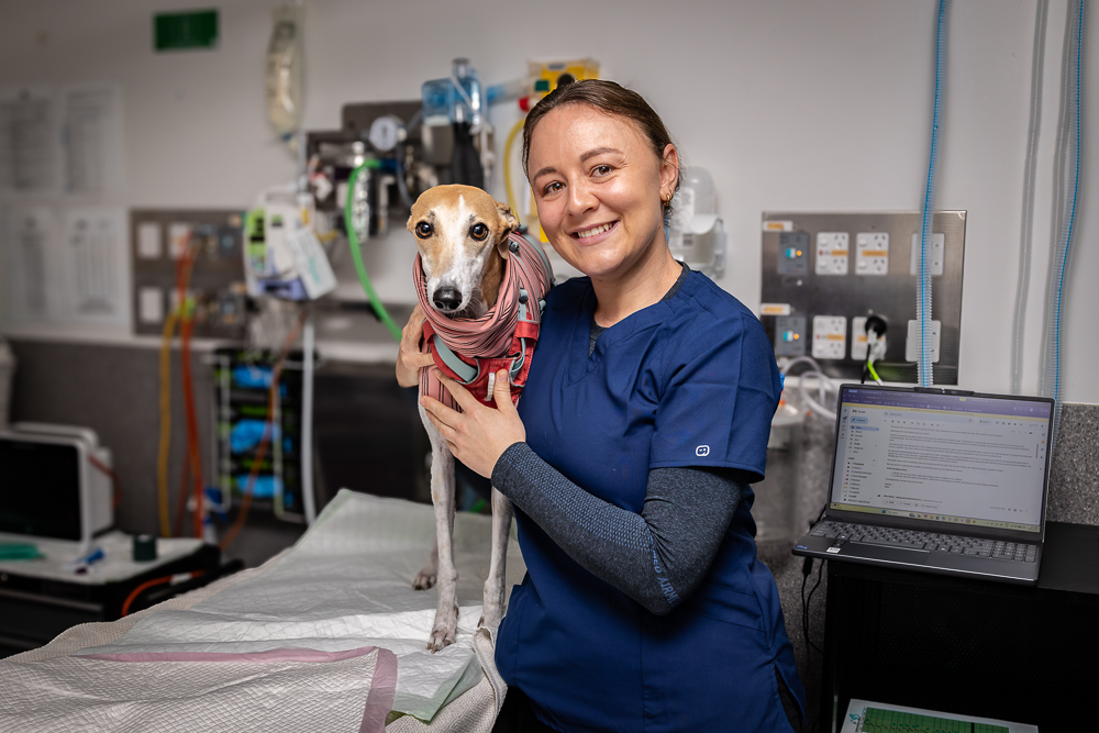 AAD team member Nicola with canine patient