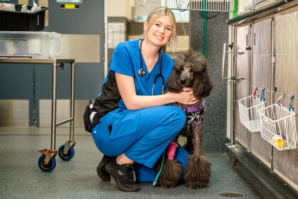 AAD team member Sophie with canine patient