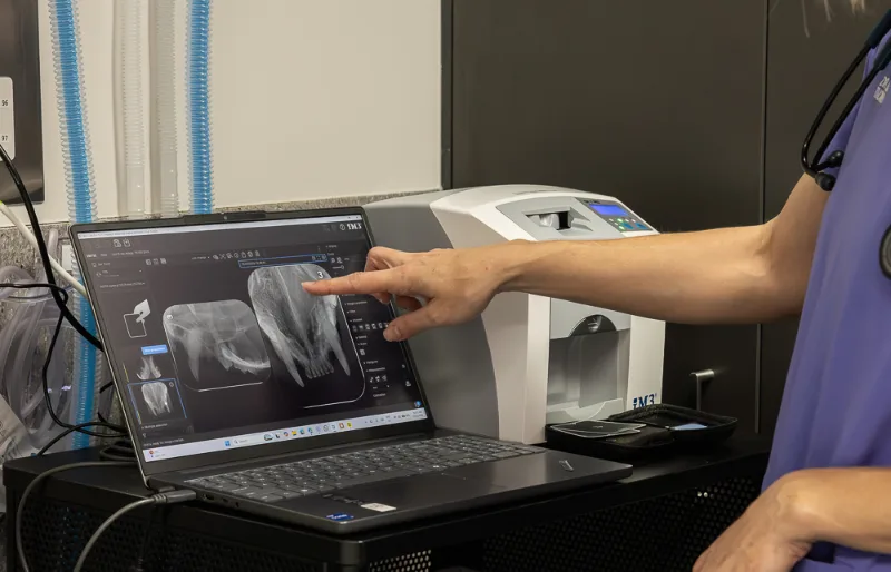 Veterinary dentist reviewing dental X-rays on a computer during a pet dental procedure.
